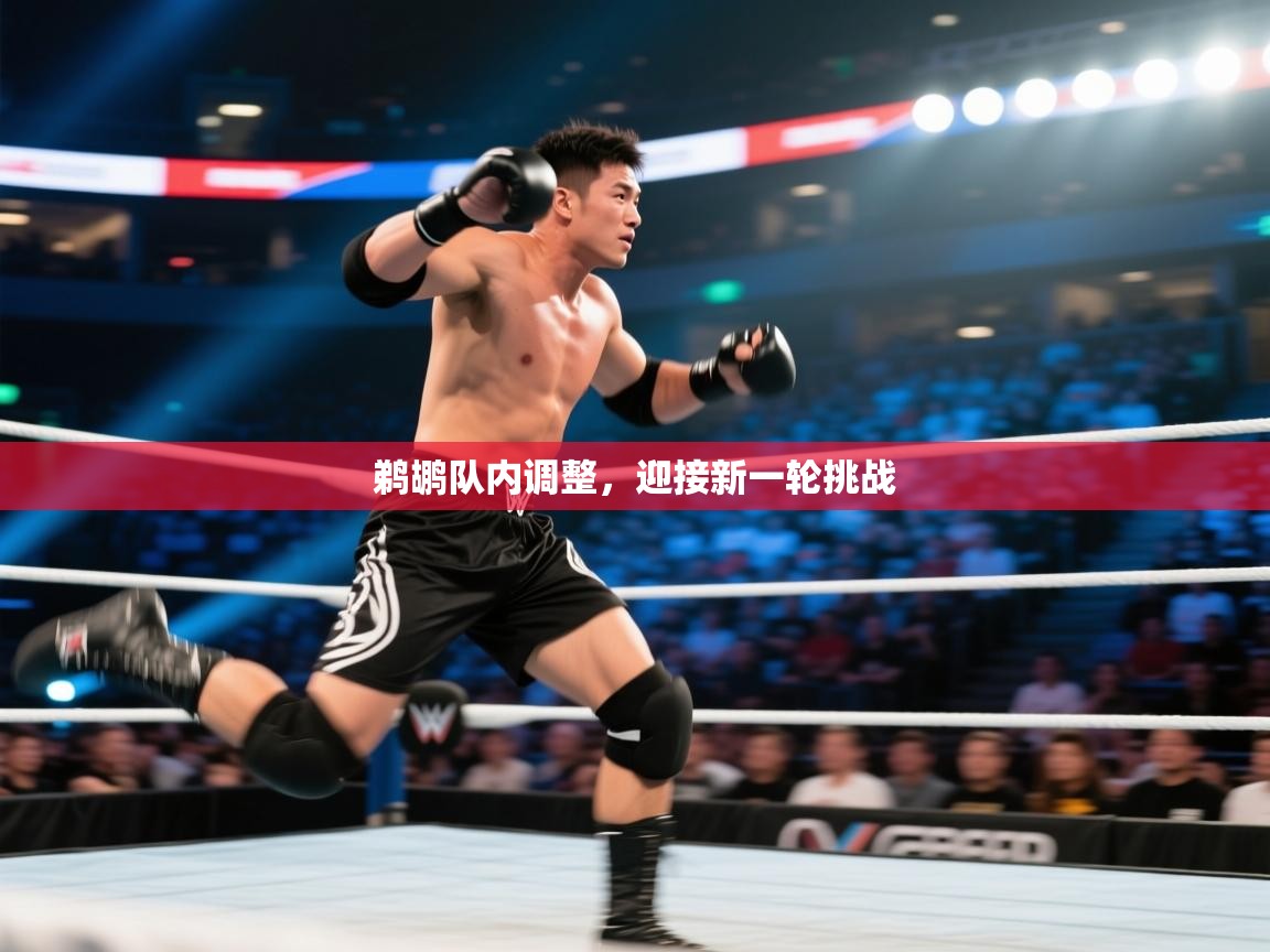 鹈鹕队内调整,迎接新一轮挑战