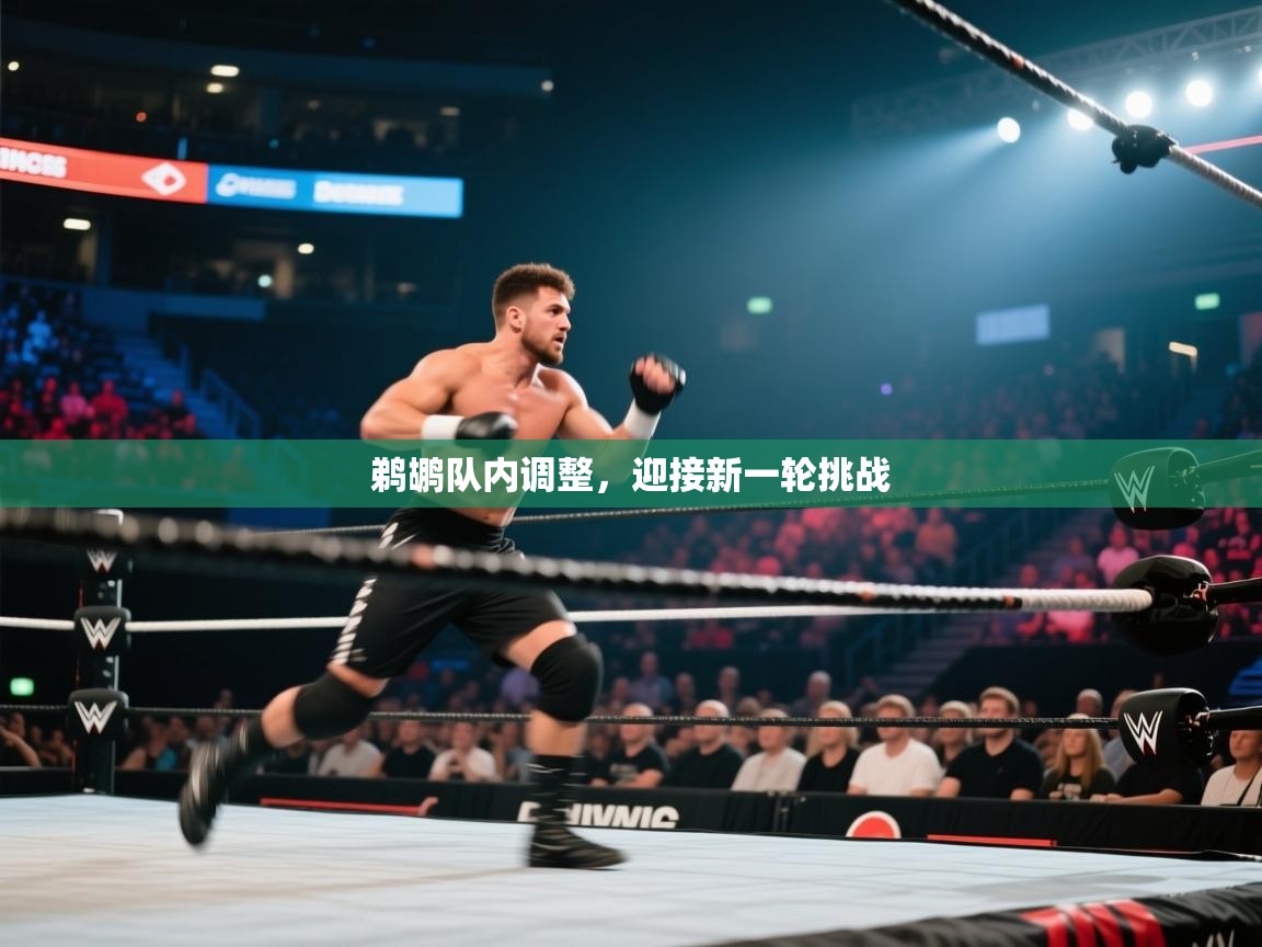 鹈鹕队内调整,迎接新一轮挑战 第2张