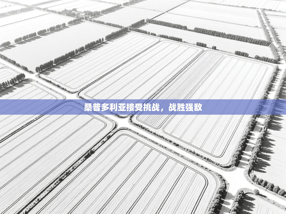 桑普多利亚接受挑战，战胜强敌